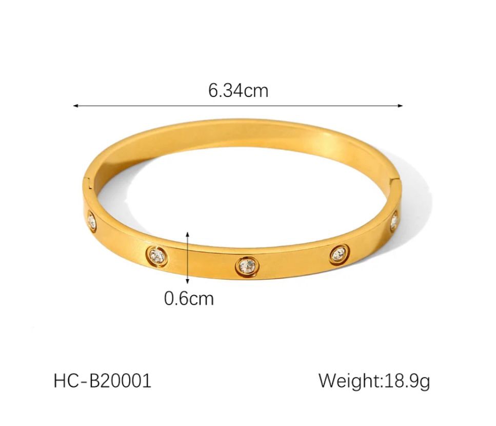 Round Diamond Inlay Stainless Steel Bangle | IG Style